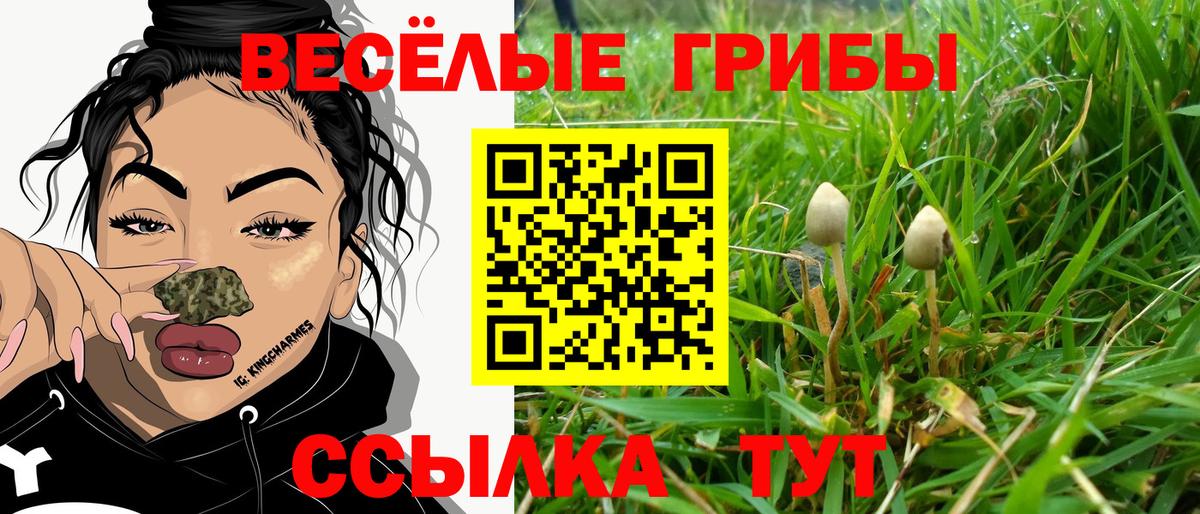 сколько стоит  Галлюциногенные грибы Cubensis  Вход с VPN  Ялуторовск 