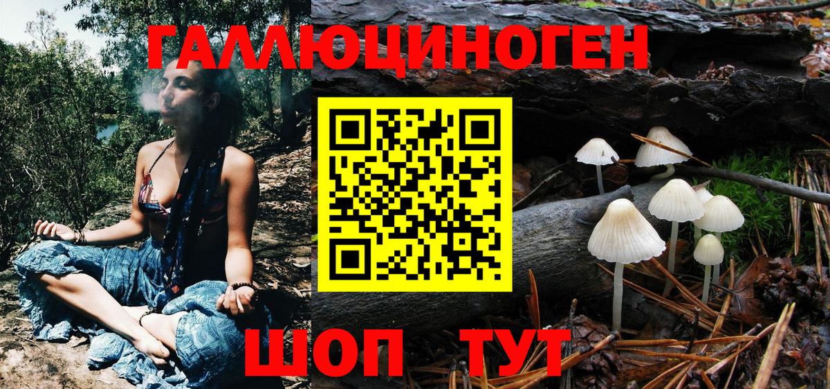 Галлюциногенные грибы Psilocybine cubensis Ялуторовск